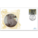 2013 Union Island, St. Vincent - British Shorthair