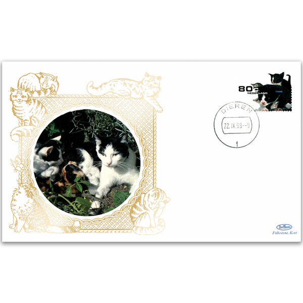 1998 Netherlands - Kittens