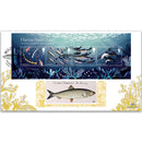 2021 Wild Coasts M/S GOLD 500