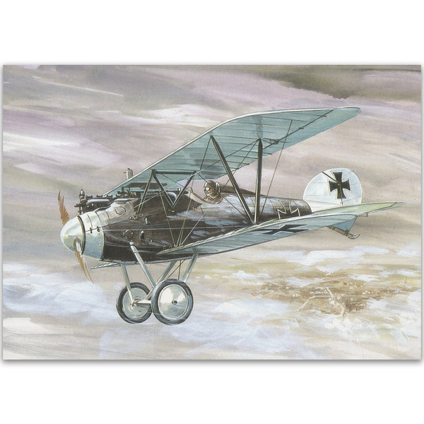 Albatros D-V Aircraft of WW1 Postcard