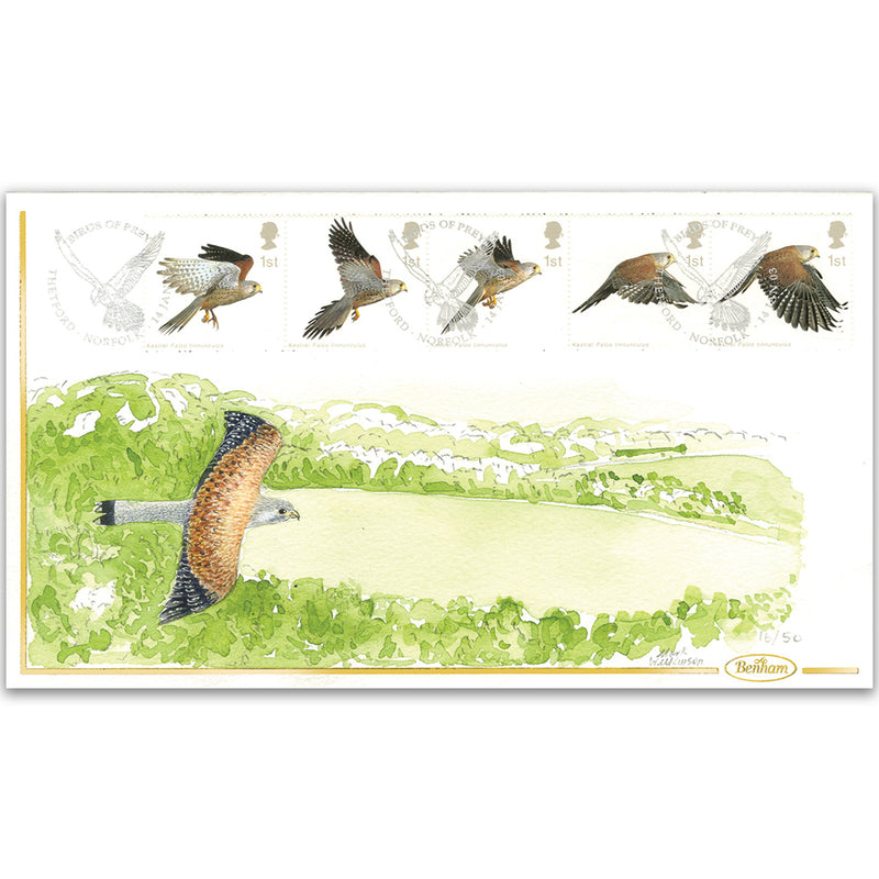 2003 Birds of Prey: Kestrel Handpainted Cover - Mark Wilkinson