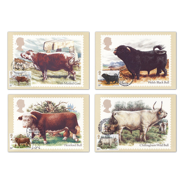 1984 British Cattle PHQ Cards - Set of 5