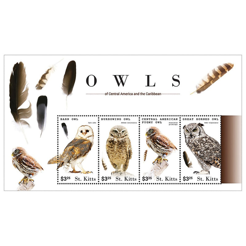 St.Kitts Owls 4v Shlt 2015 Barn Owl