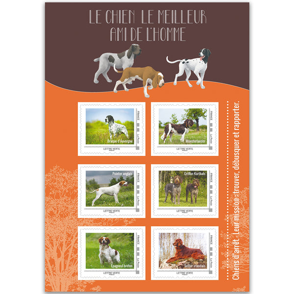 France Hunting Dogs Shlt 27/2/16