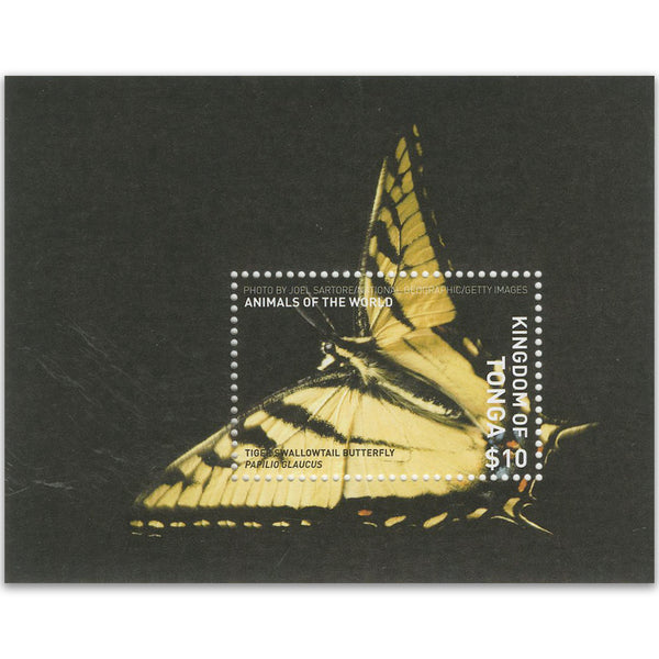 2019 Tonga Animals of World Butterfly Tiger Swallowtail M/S
