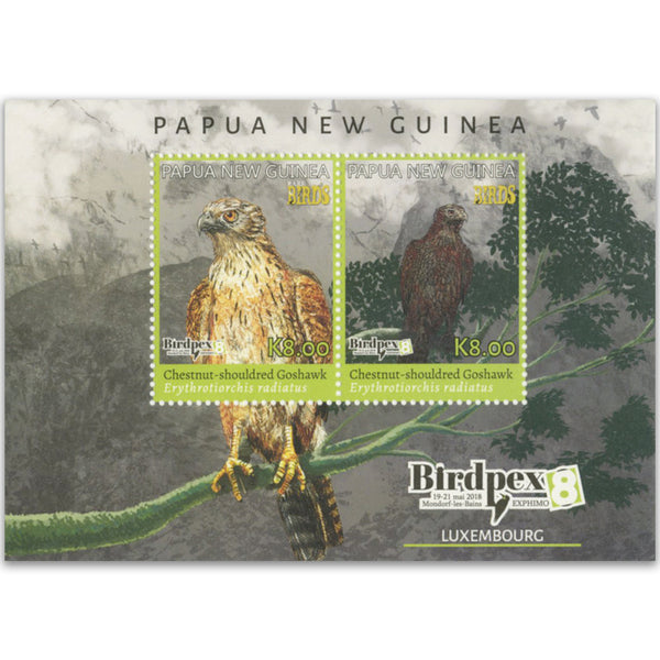 2018 Papua Rare Birds II Birdpex 8 2v M/S