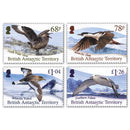 2020 BAT Antarctic Birds 4v Set