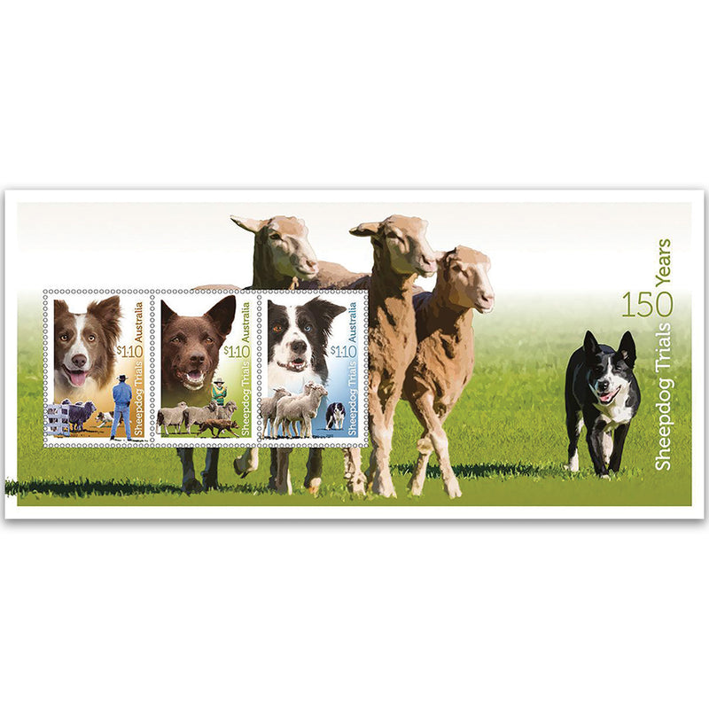 2022 Australia Sheepdog Trials 3v M/S