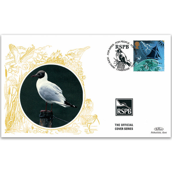 2001 UK - Black Headed Gull