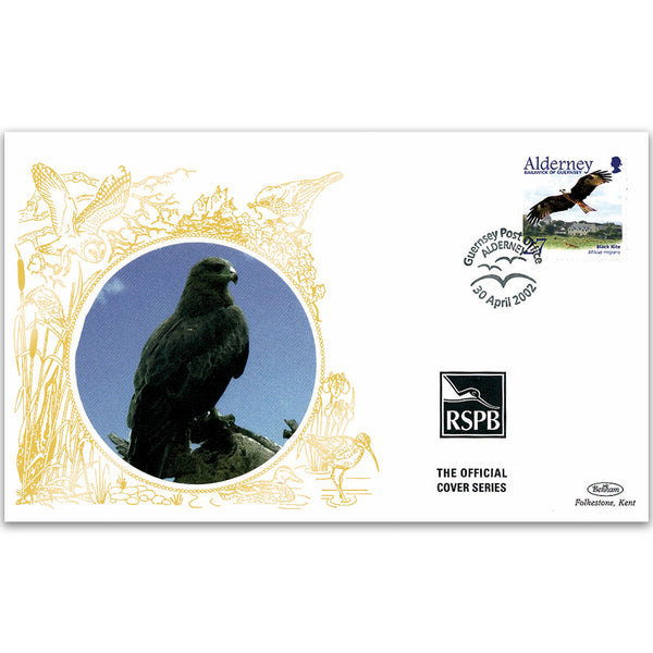 2002 Alderney - Black Kite