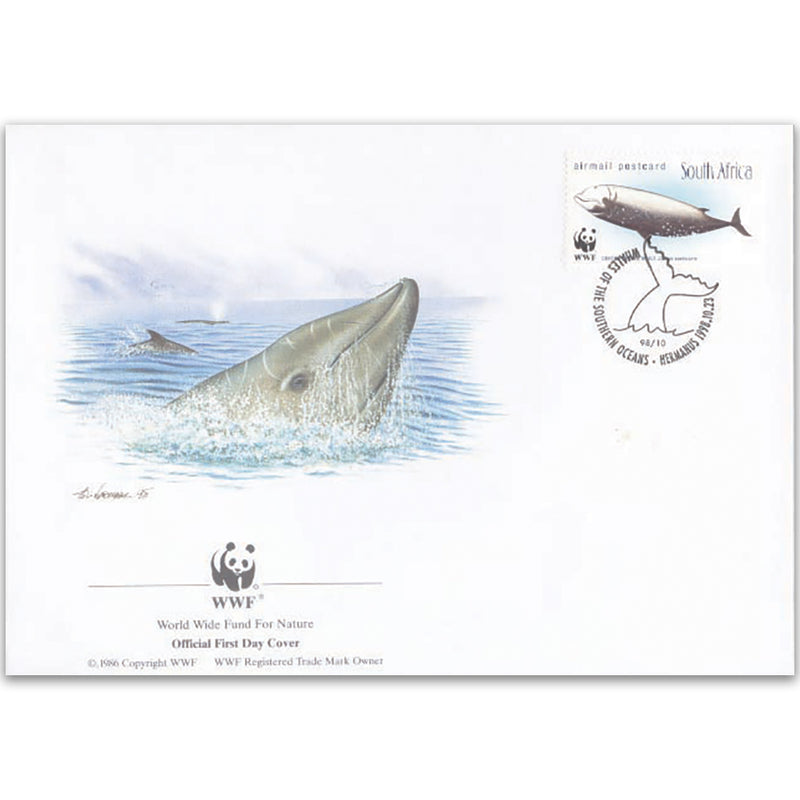 1998 South Africa - Cuvier's Beaked Whale
